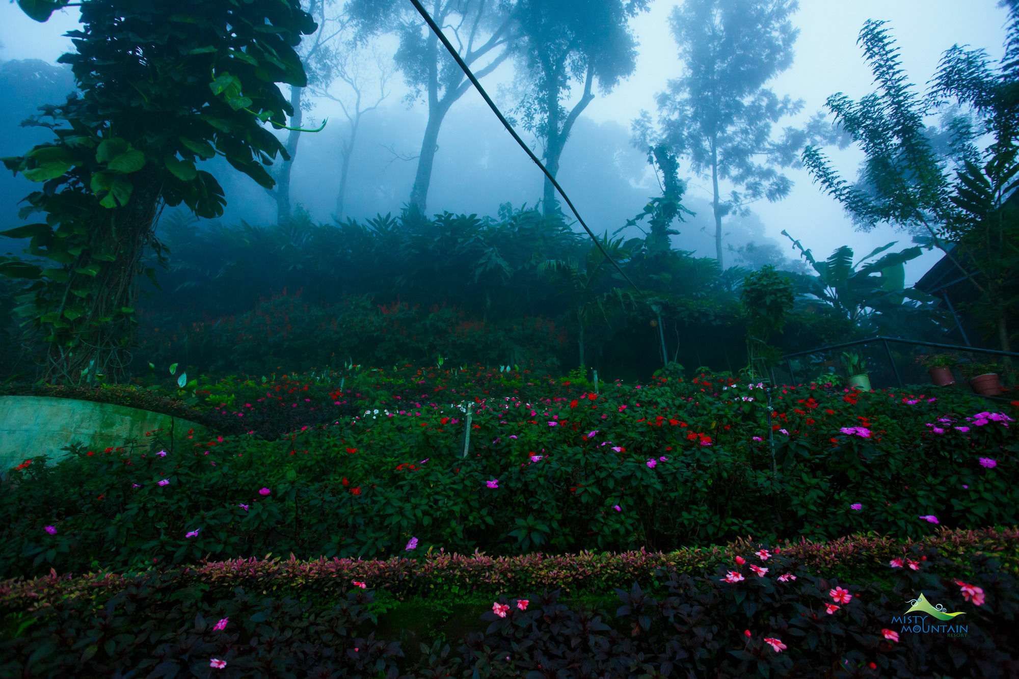 Misty Mountain Resort Munnar Exterior photo